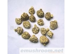 供应花菇2-2.5,3-4,4-5图2