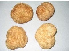 山珍佳品\猴头菇\刺猬菌\猴头菌\猴头蘑\刺猬菇图1