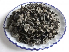 东北野生 蘑菇 木耳 猴头 等产品 大量批发供货-东北特产网图1