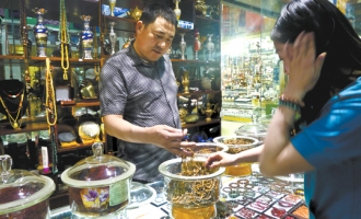 西藏：虫草减产价格上涨 ()