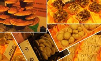 济南：名优食用菌亮相推介会　打造三大食用菌生产区 ()