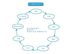 食用用菌投资方案图3