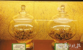 虫草减产 价格又涨 ()