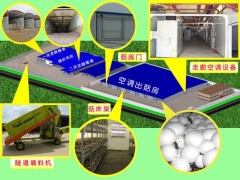 蘑菇厂整体设计安装图1