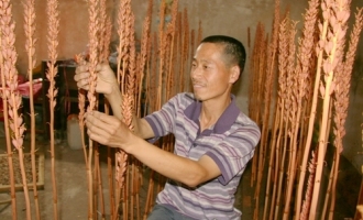 张根山：念好“天麻经” 三招有诀窍 ()