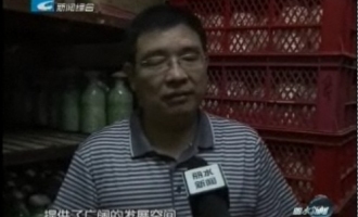 应国华：潜心研究推广丽水食用菌产业发展 ()