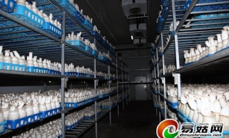“食用菌工程设计中心”日前在江苏连云港成立 ()