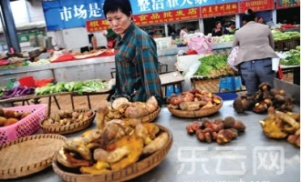 野生菌涌入昆明市场引发大降价 ()