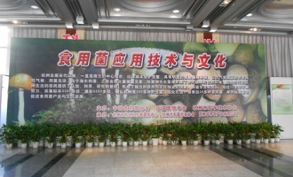 杭州：展示菌类图片 促进菌业发展 ()