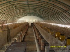 蔬菜大棚骨架,无支柱大棚骨架,钢管镀塑大棚骨架机安阳博利图2