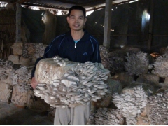 全生料菌砖式(五代技术)图1