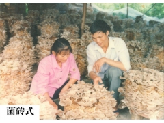 全生料菌砖式(五代技术)图3