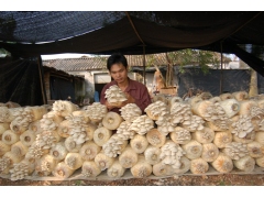 常规袋裁式(一代技术)图1