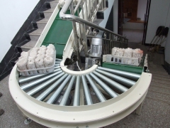 蟹味菇输送机菌菇厂专供设备图1