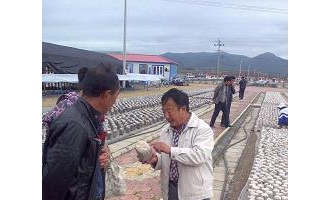 珲春市农业人员赴东宁县考察学习黑木耳种植技术 ()