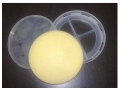 食用菌海绵 食用菌海绵过滤垫（透气海绵垫）图1