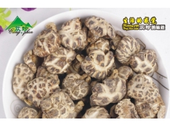 四川土特产,成都土特产,山珍食用菌花菇供应商图1