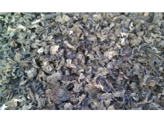 长期供应黑木耳图1