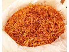 北京北虫草 蛹虫草 北冬虫夏草 福生堂灵芝虫草系列产品图2