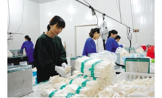 南平市元正生物科技有限公司日出厂海鲜菇鲜品2吨 ()