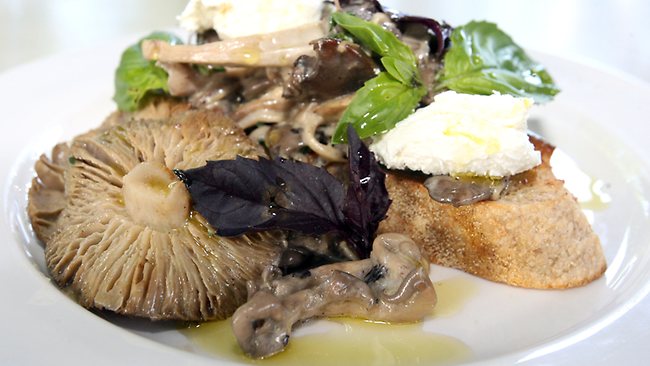 Mushroom ragout taste signature