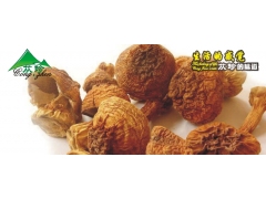 食用菌批发，青川野生食用菌姬松茸批发图1