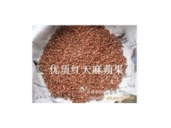 天麻，旱半夏栽培技术图3