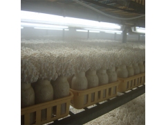 食用菌风冷恒温机组图3