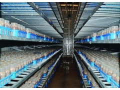 食用菌-菇房-电极式加湿器图3