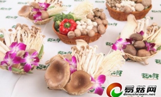 中国唯一食用菌上市企业“菇木真”发布食用菌产品安全承诺书 让消费者食得安心 ()