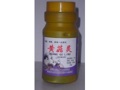 食用菌黄菇灵、黄斑病、枯萎病等图1