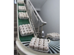 台湾菌菇输送线滑子菇输送机草菇输送机 虫草生产线图1