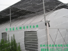 食用菌黑白膜，专用大棚遮阴黑白膜图2