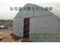 食用菌黑白膜，专用大棚遮阴黑白膜图3