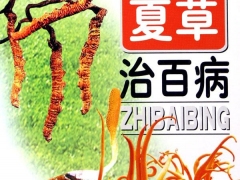 虫草治疗百病