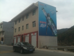 大量供应菌种：黑木耳，猴头菇，杏鲍菇，秀珍菇，平菇，茶树菇图1