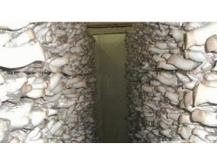 蘑菇种植库，蘑菇冷库安装，食用菇冷库建造图1