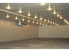 金针菇种植冷库,食用菌培植库安装图1