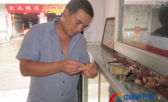 姚秋生：执着于食用菌事业的研究员 ()