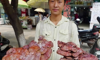 宜宾男子寻求灵芝鉴定 ()