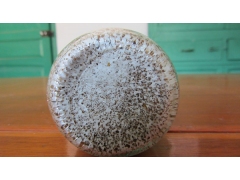 天麻萌发菌原种图2