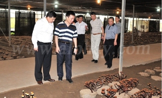 公安部经侦局上海直属总队领导参观安惠园 ()