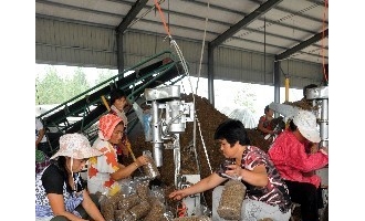 茌平县食用菌产业鼓起农民钱袋子 ()