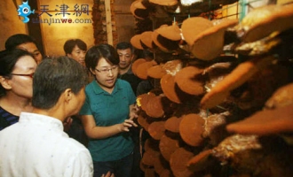 天津：各色食用菌亮相 市民体验“蘑菇文化” ()
