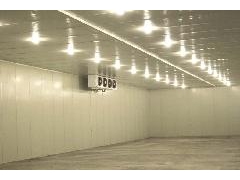 秀珍菇冷库反季节栽培技术，食用菌菇冷库栽培保鲜图1