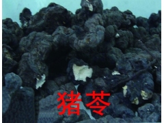 桦树黄 猪苓 五味子 刺五加籽图2