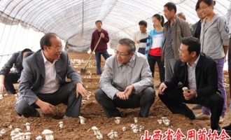 山西省委组织部长汤涛第三次视察武乡县食用菌基地 ()