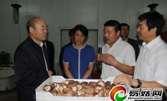河北省农业厅厅长赵国岭视察平泉食用菌产业 ()