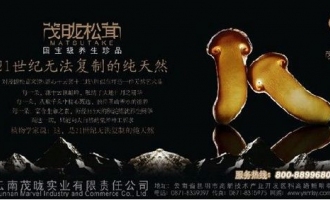 茂昽：领跑中国松茸行业 ()