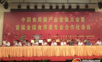 全国十佳食用菌合作组织、专业合作社和理事长受到表彰 ()